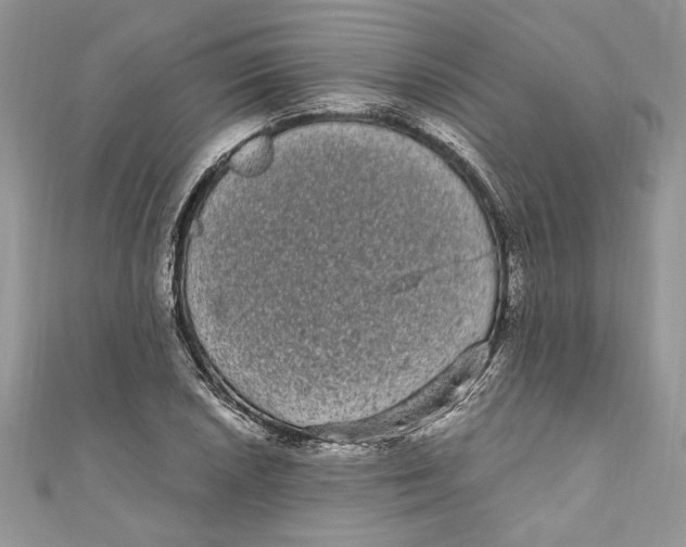 X0000111051026200907161401