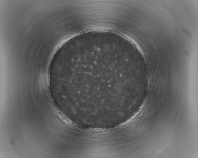 X0000111051027200907161401