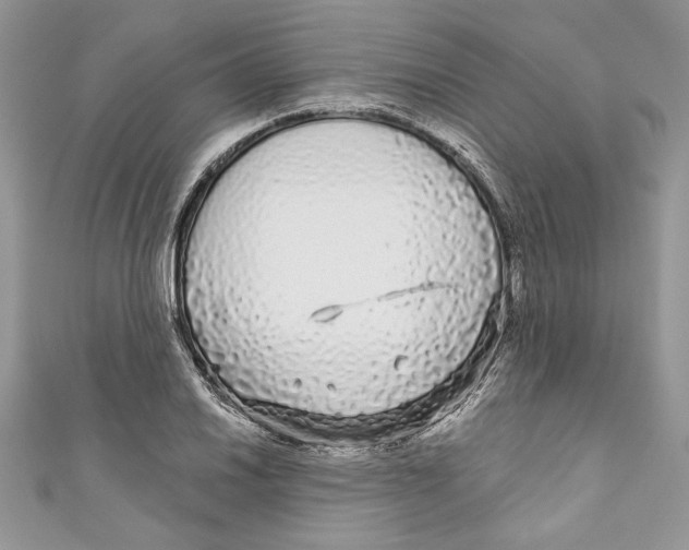 X0000111051030200907161401