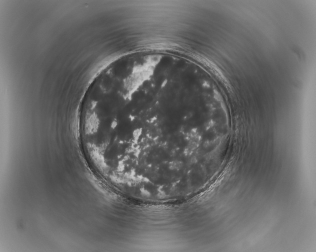 X0000111051031200907161401