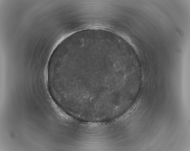 X0000111051032200907161401