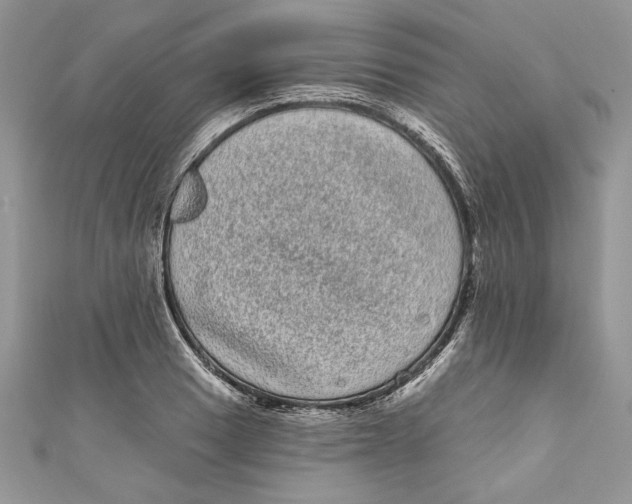 X0000111051033200907161401