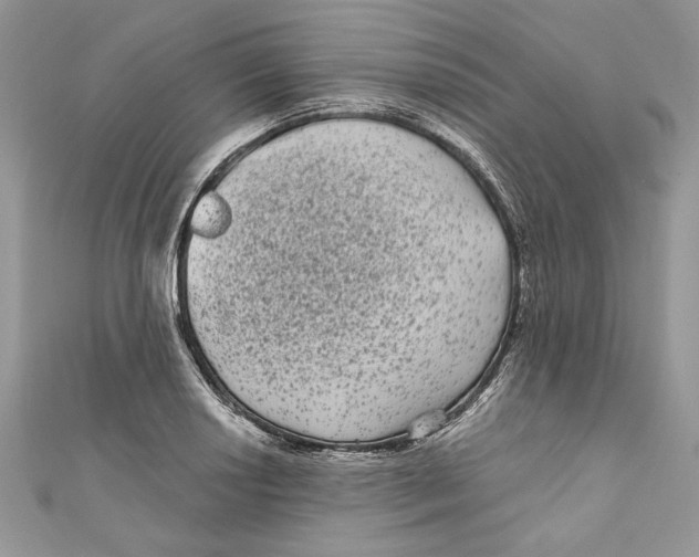 X0000111051034200907161401