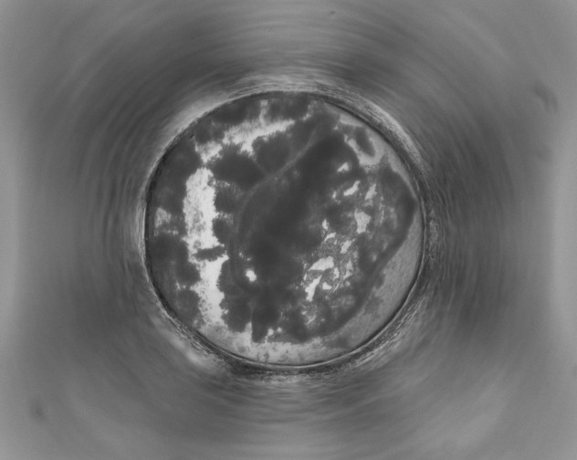 X0000111051035200907161401