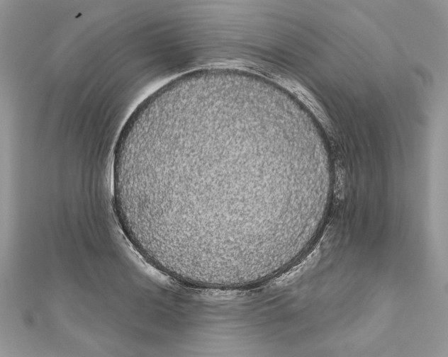 X0000111051036200907161401