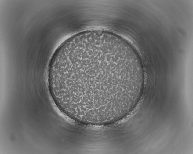 X0000111051038200907161401