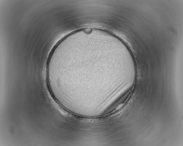 X0000111051040200907161401