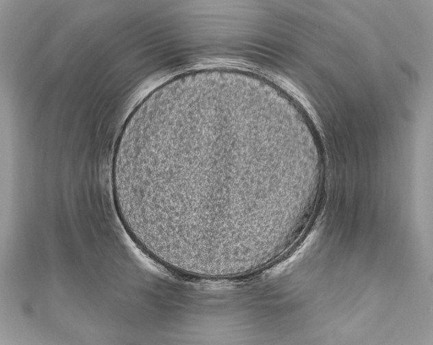 X0000111051041200907161401