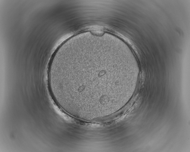 X0000111051042200907161401