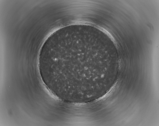 X0000111051043200907161401