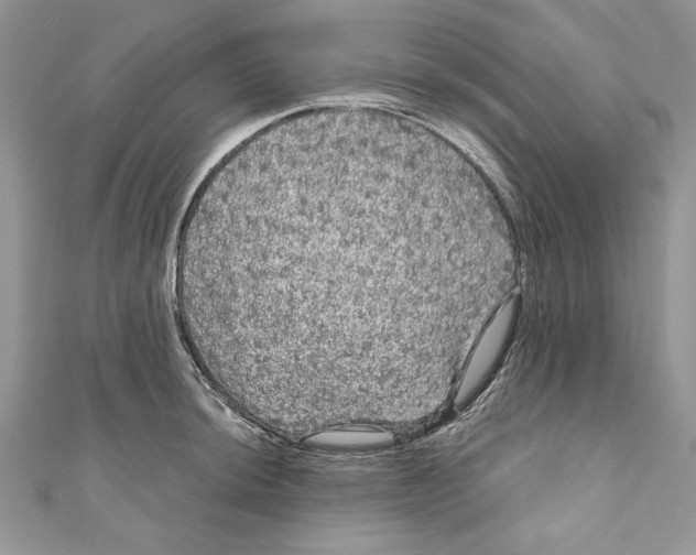 X0000111051044200907161401