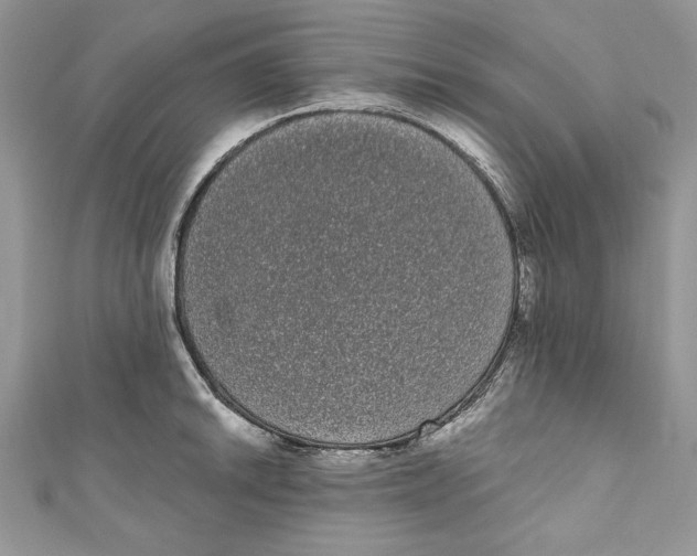 X0000111051046200907161401