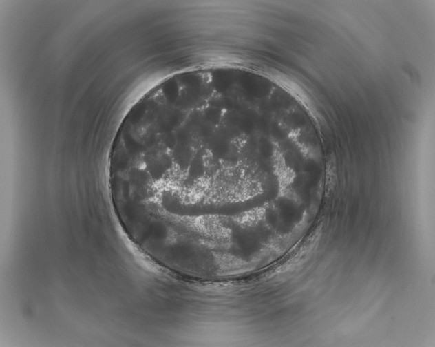 X0000111051047200907161401