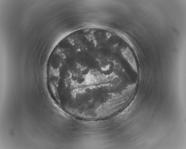 X0000111051048200907161401