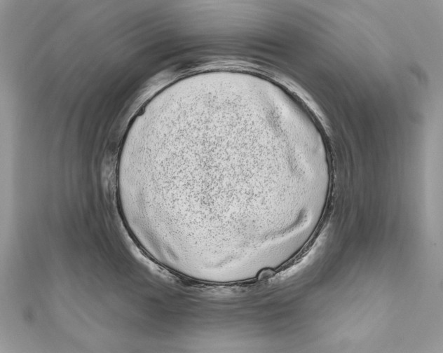 X0000111051049200907161401