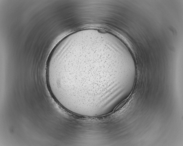 X0000111051050200907161401