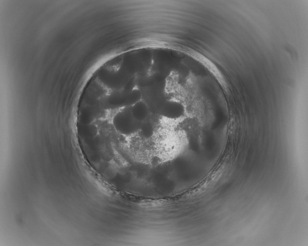 X0000111051051200907161401