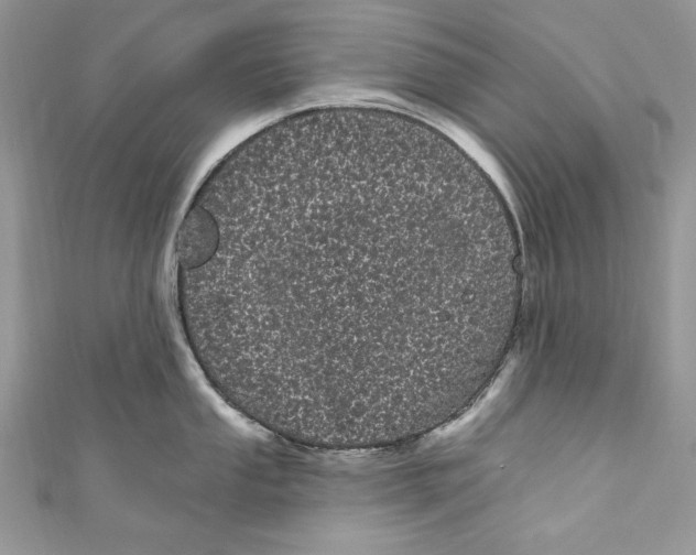 X0000111051053200907161401