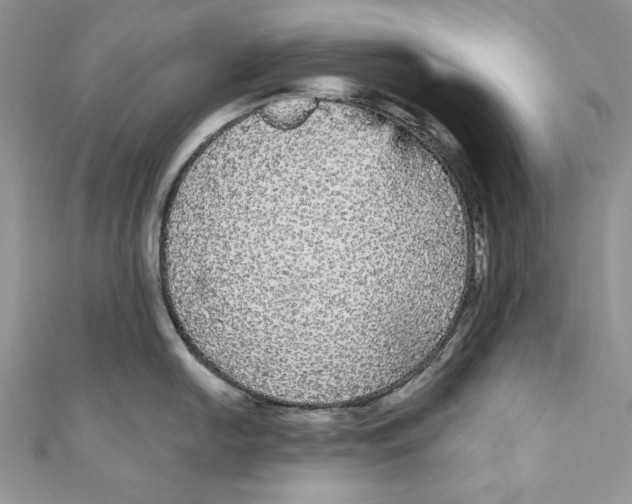 X0000111051054200907161401