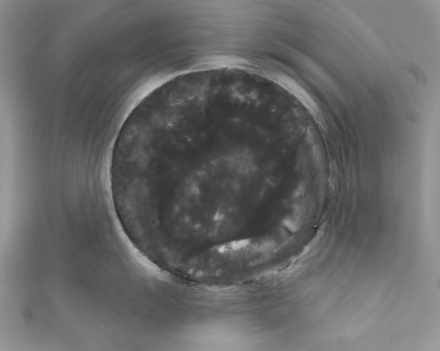 X0000111051055200907161401