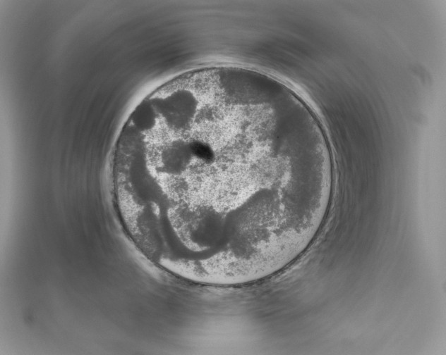 X0000111051056200907161401