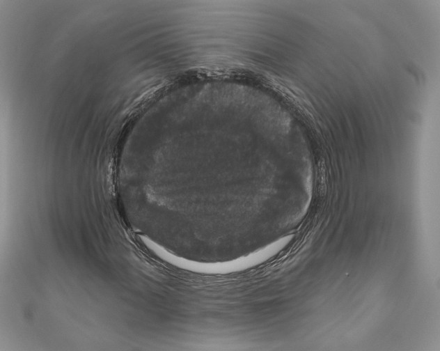 X0000111051060200907161401