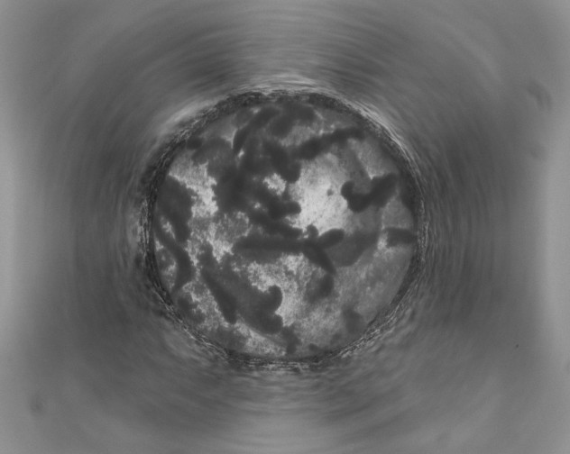 X0000111051063200907161400