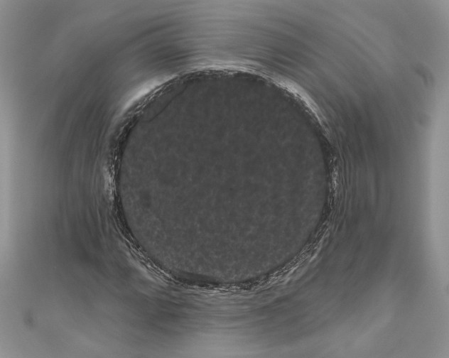 X0000111051064200907161400