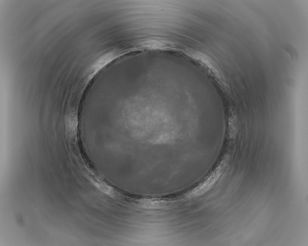 X0000111051065200907161400