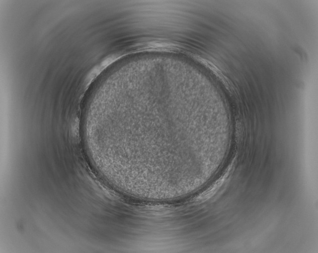 X0000111051066200907161400