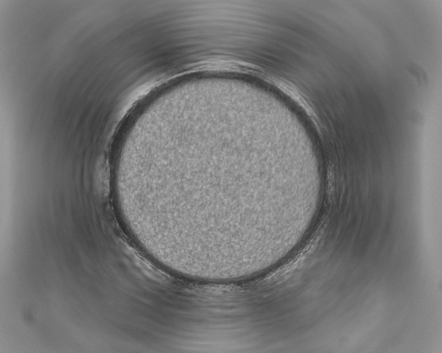 X0000111051067200907161400