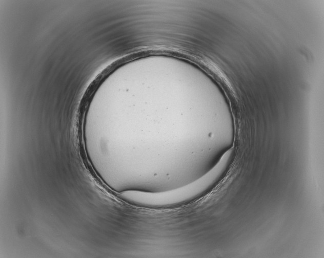 X0000111051068200907161400