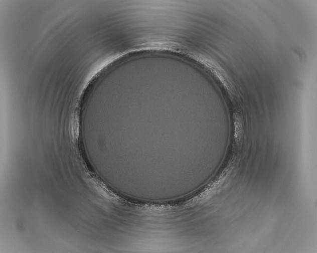 X0000111051069200907161400