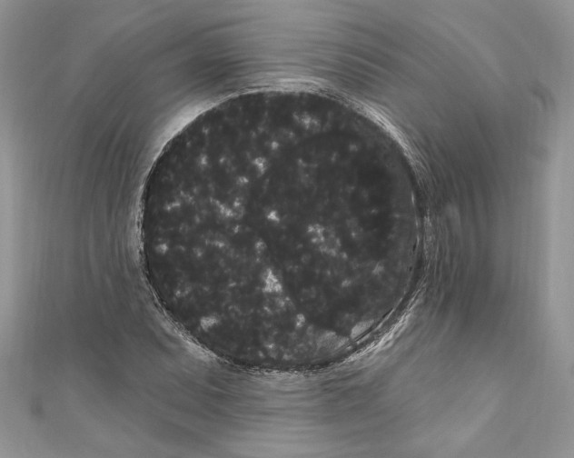 X0000111051071200907161400