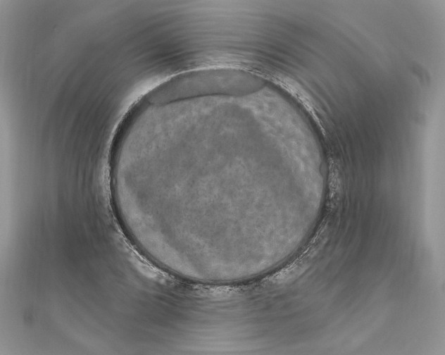 X0000111051072200907161400