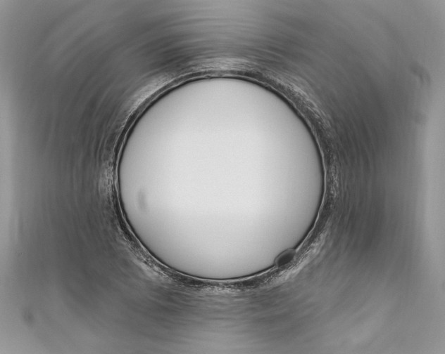 X0000111051073200907161400