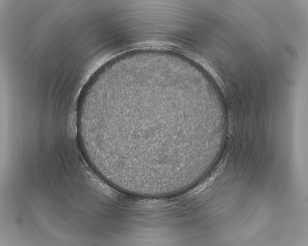 X0000111051075200907161400