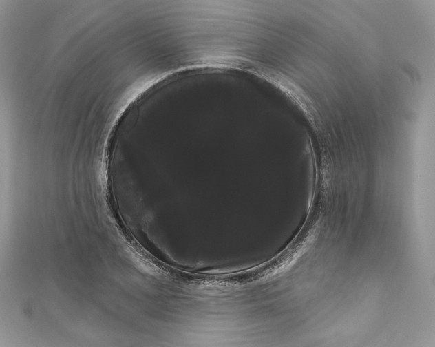 X0000111051077200907161400