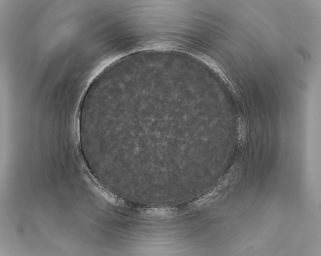 X0000111051078200907161400