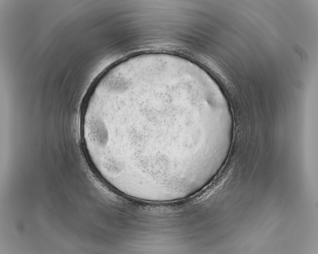 X0000111051079200907161400