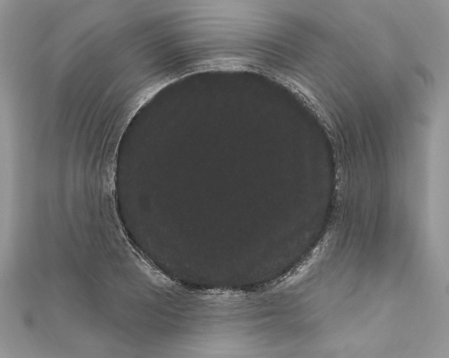 X0000111051081200907161400