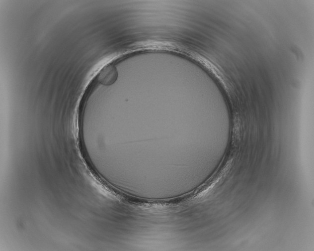 X0000111051082200907161400