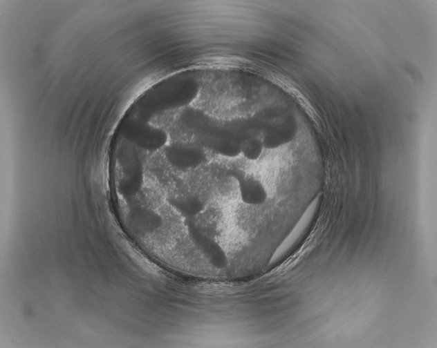 X0000111051083200907161400