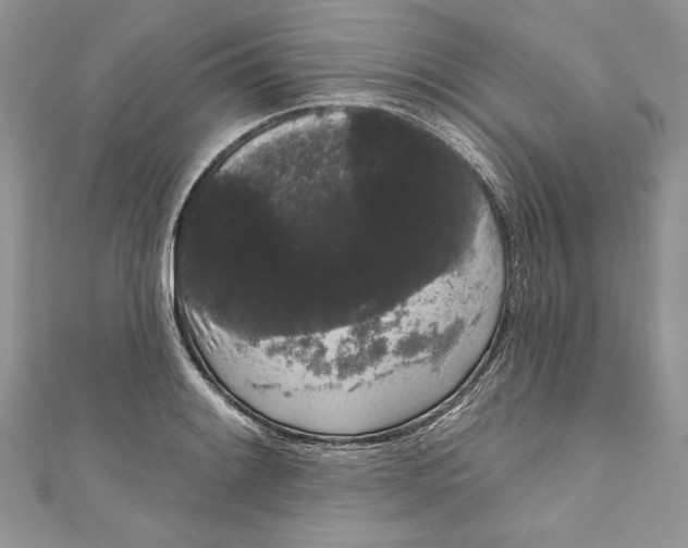 X0000111051084200907161400