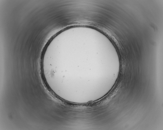 X0000111051085200907161400