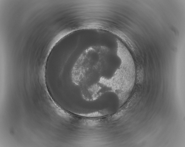 X0000111051086200907161400