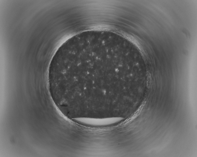 X0000111051087200907161400