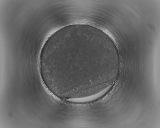 X0000111051088200907161400