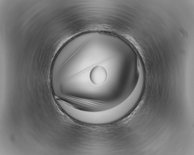 X0000111051089200907161400