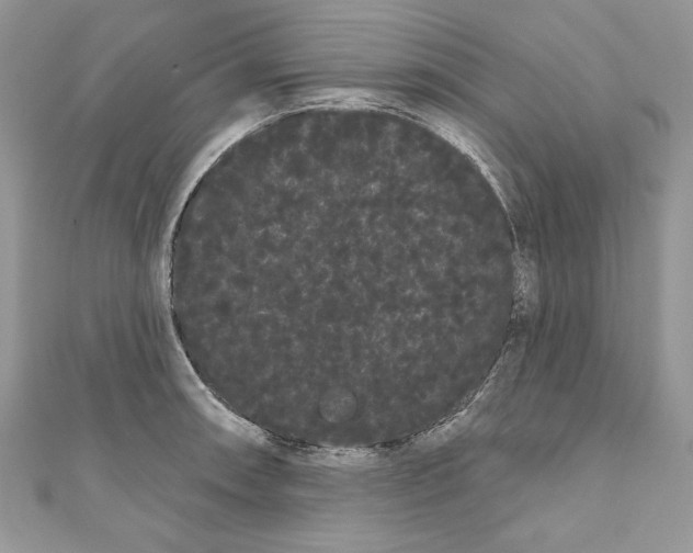 X0000111051090200907161400